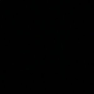 Meet your Posher, Aya